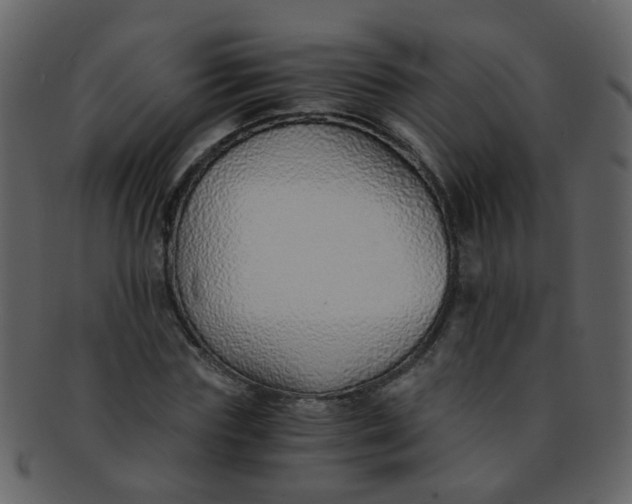 X0000093150827200710171349