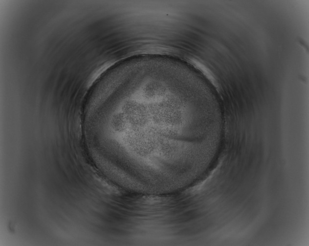 X0000093150829200710171349