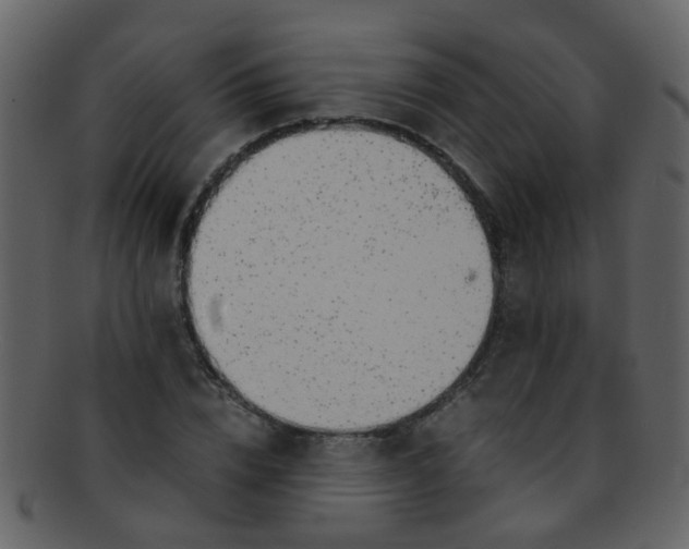 X0000093150832200710171349