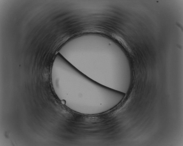 X0000093150833200710171349