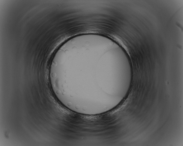 X0000093150835200710171349