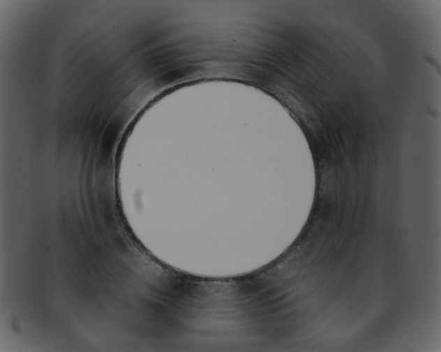 X0000093150836200710171349