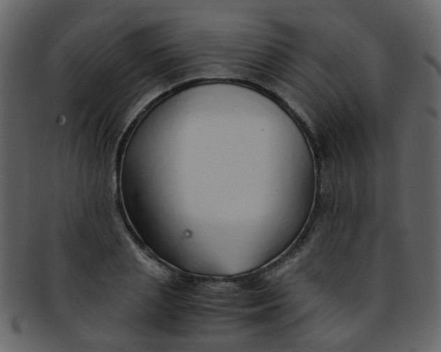 X0000093150837200710171349