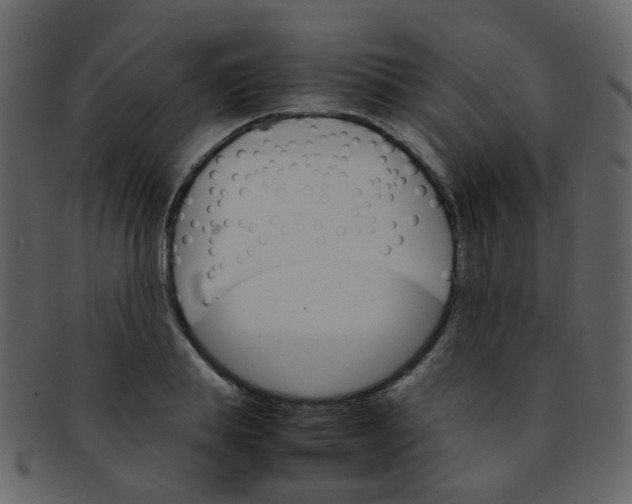 X0000093150839200710171349