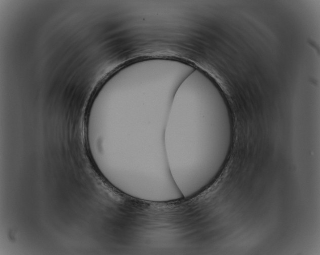 X0000093150840200710171349