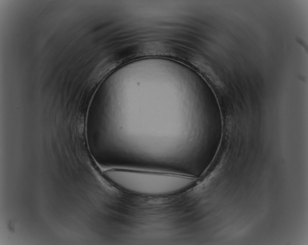 X0000093150841200710171349