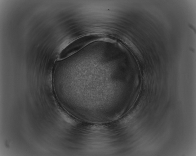 X0000093150842200710171349