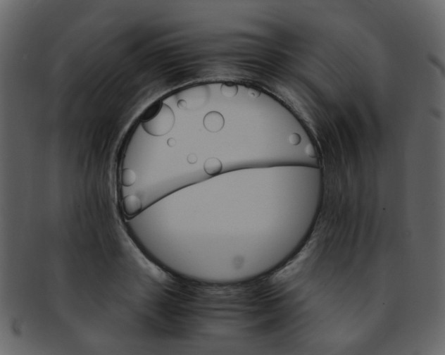 X0000093150843200710171349