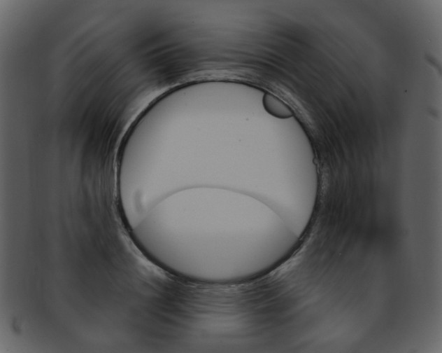 X0000093150844200710171349