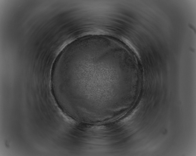 X0000093150845200710171349