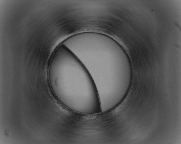 X0000093150846200710171349