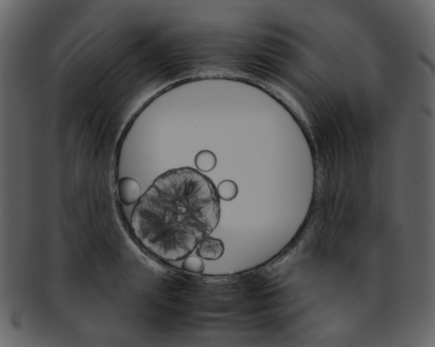 X0000093150847200710171349