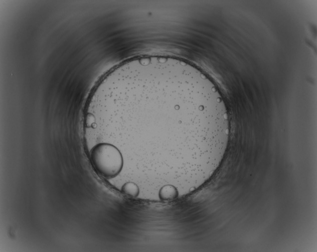 X0000093150848200710171349