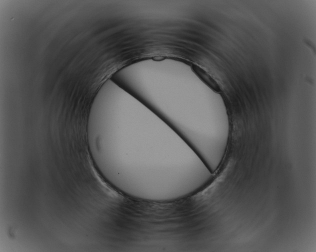 X0000093150849200710171349