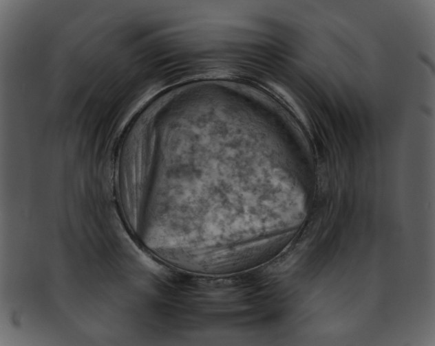 X0000093150851200710171349