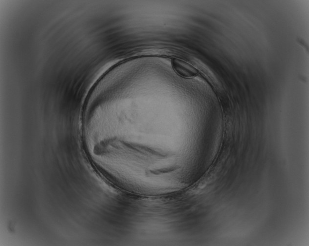 X0000093150852200710171349