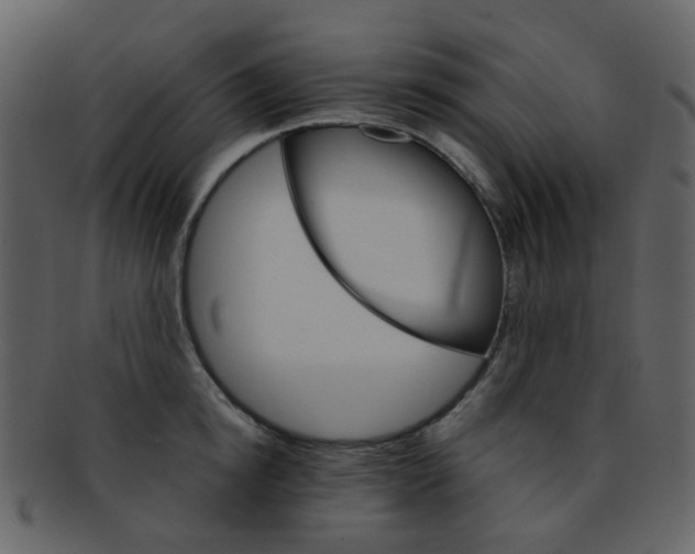 X0000093150854200710171349