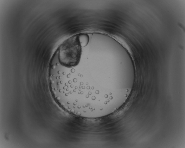 X0000093150855200710171349