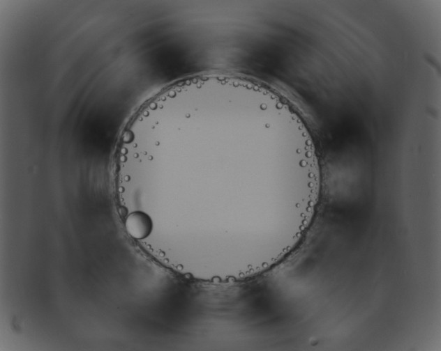 X0000093150856200710171349