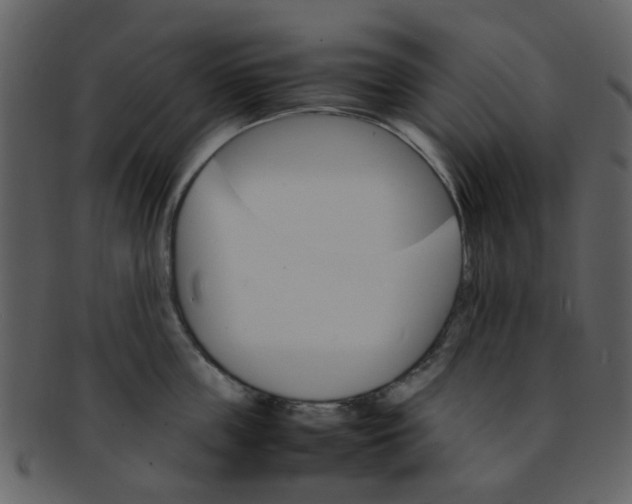 X0000093150859200710171349