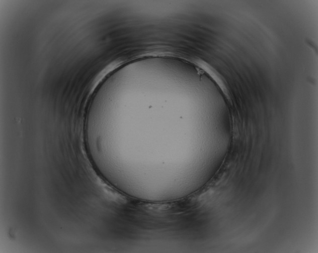 X0000093150861200710171349