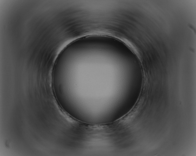 X0000093150862200710171349