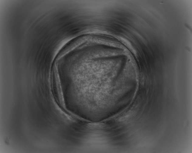 X0000093150863200710171349