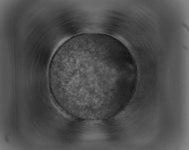 X0000093150864200710171349