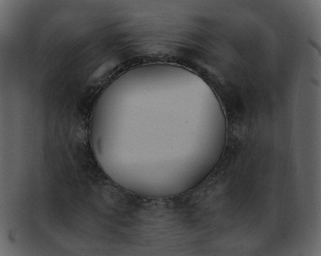 X0000093150869200710171348