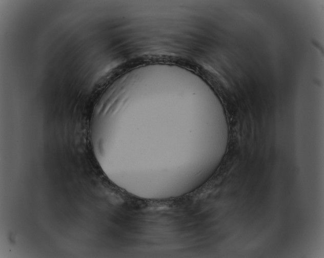 X0000093150870200710171348