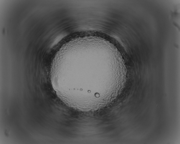 X0000093150871200710171348