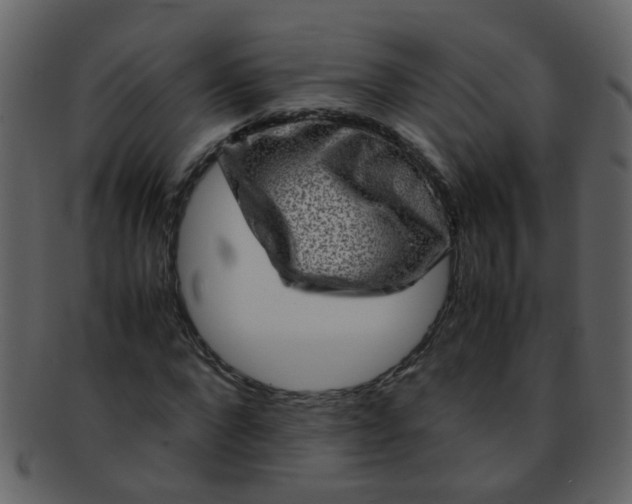 X0000093150872200710171348