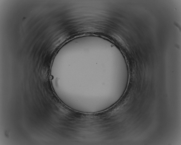 X0000093150873200710171348