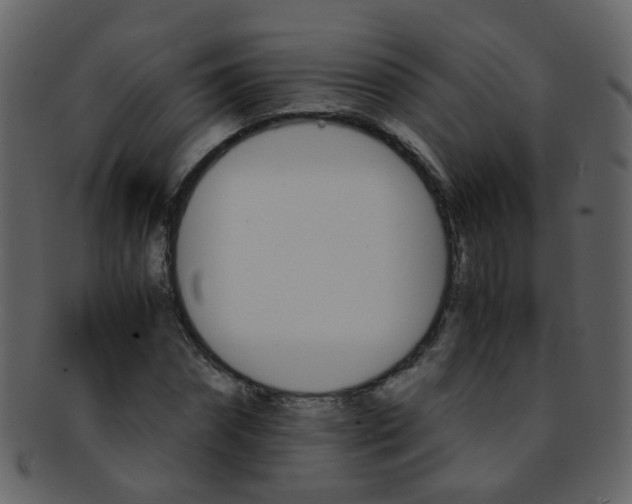 X0000093150874200710171348