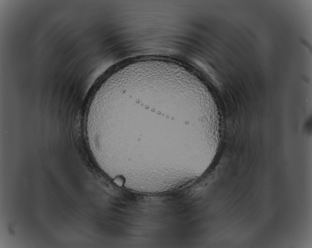 X0000093150875200710171348