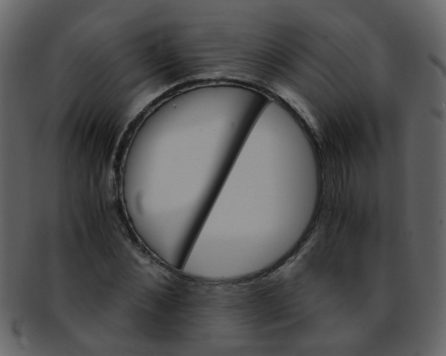 X0000093150876200710171348