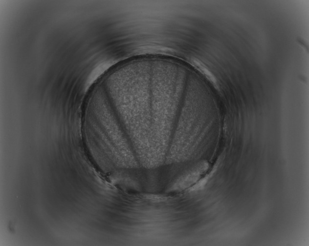 X0000093150877200710171348