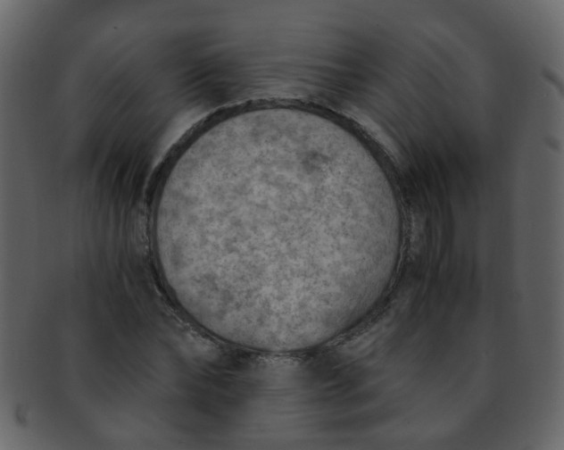 X0000093150878200710171348