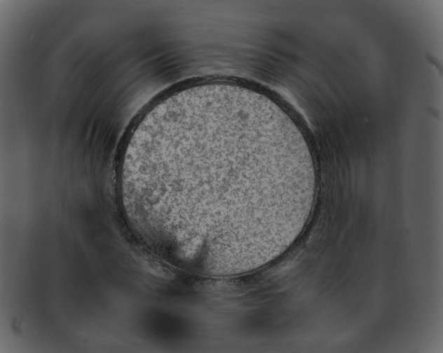 X0000093150879200710171348