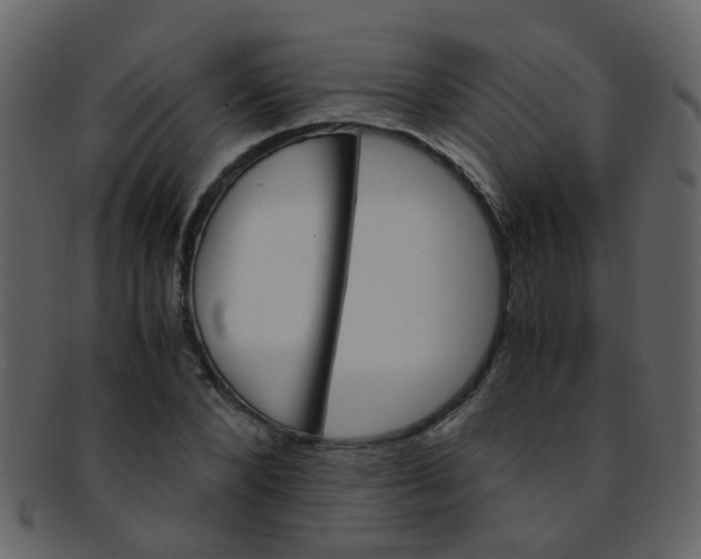 X0000093150880200710171348