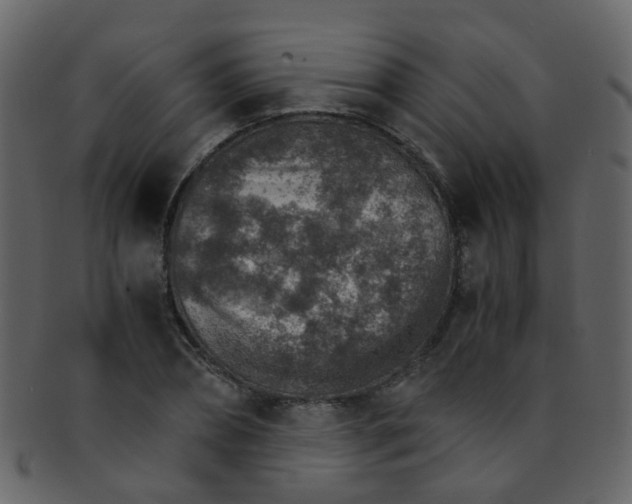 X0000093150882200710171348