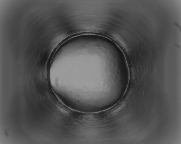 X0000093150883200710171348