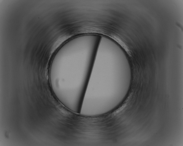 X0000093150885200710171348