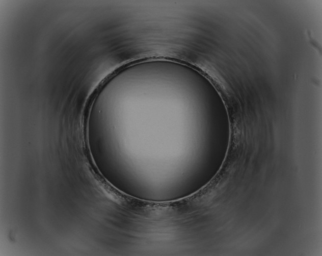 X0000093150886200710171348