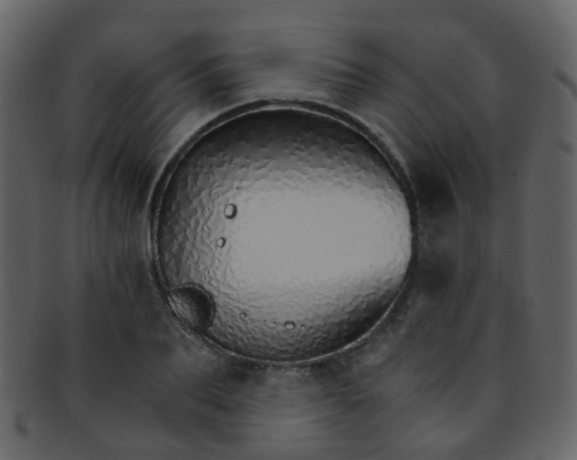 X0000093150887200710171348