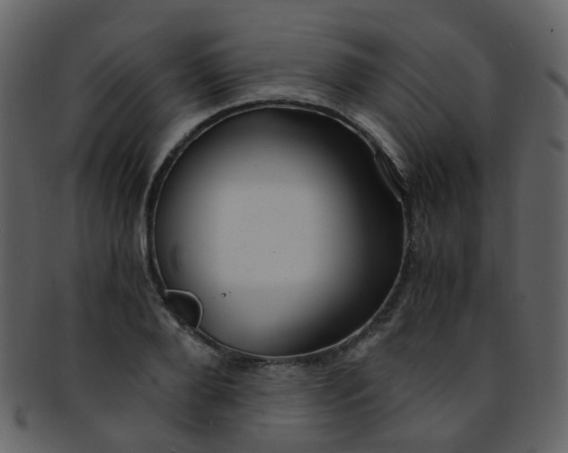 X0000093150888200710171348