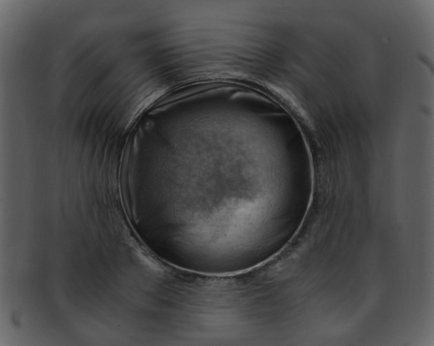 X0000093150889200710171348