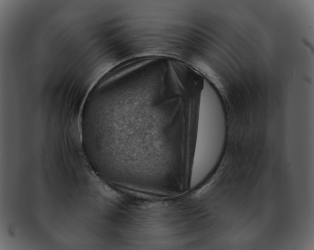 X0000093150892200710171348