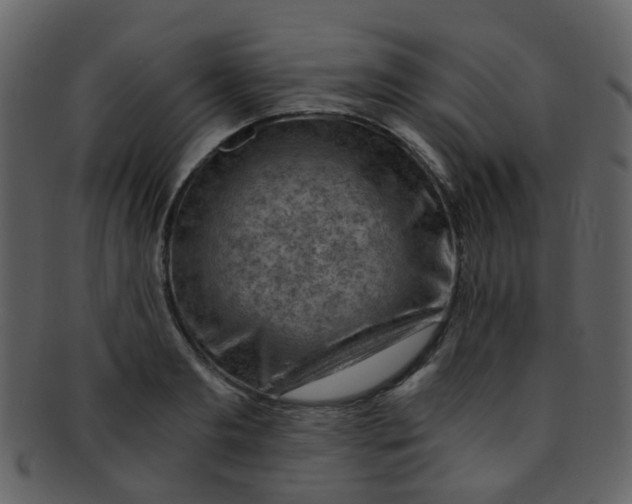 X0000093150893200710171348