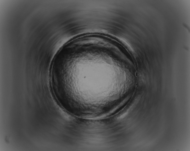 X0000093150895200710171348